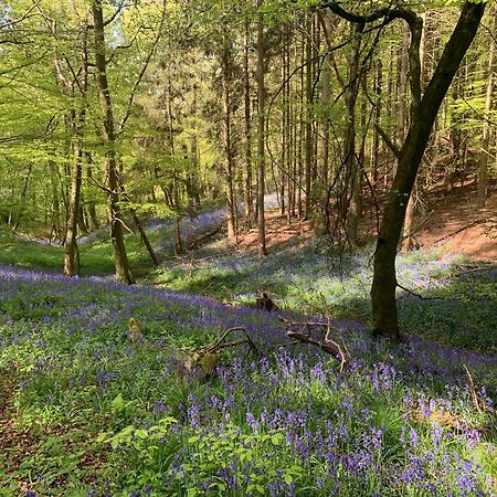 فيلا The Little Orchard Watlington  المظهر الخارجي الصورة