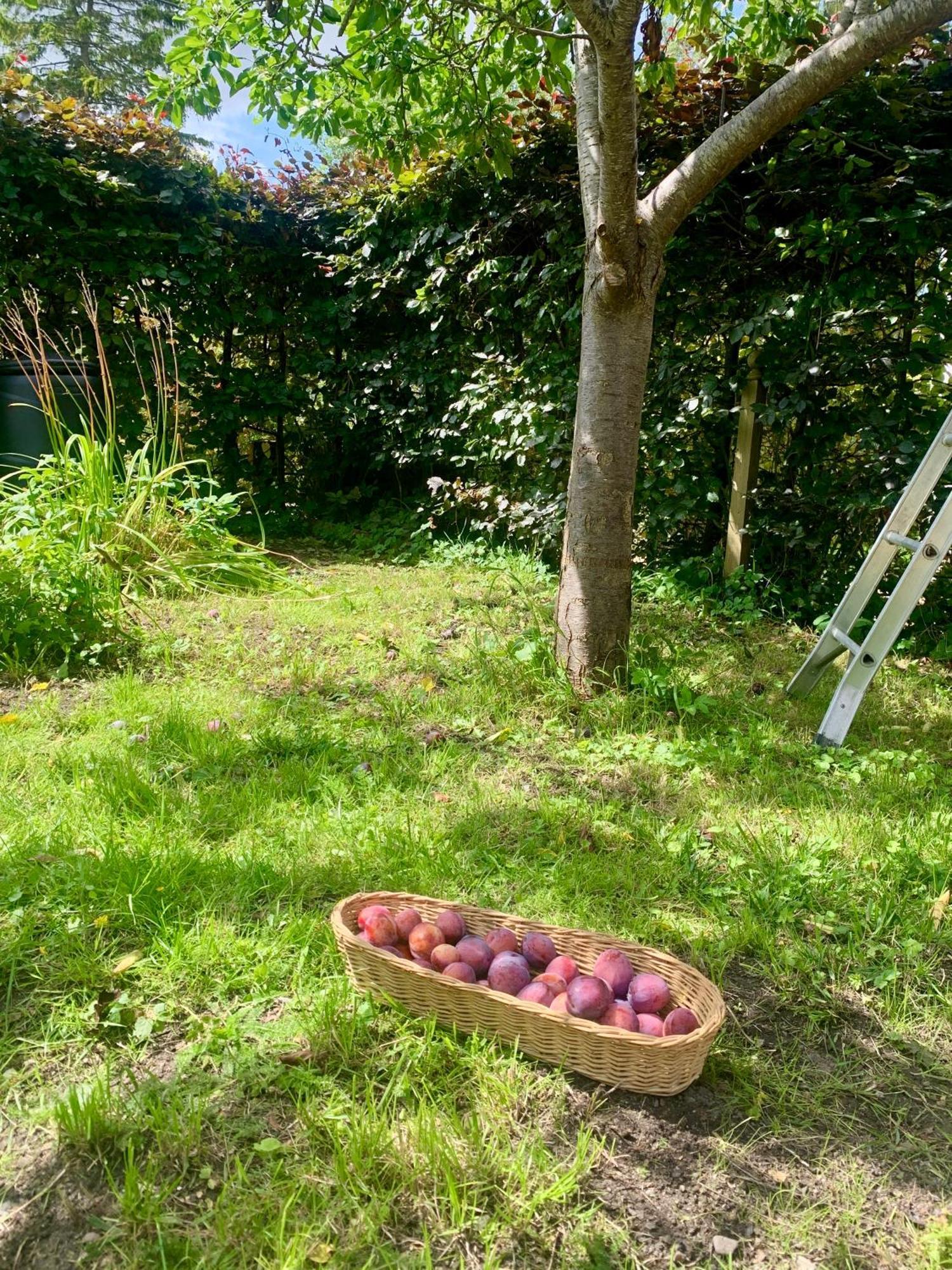 فيلا The Little Orchard Watlington  المظهر الخارجي الصورة